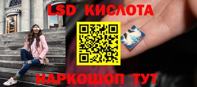 индика Ярославль