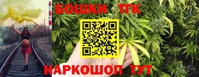 индика Ярославль