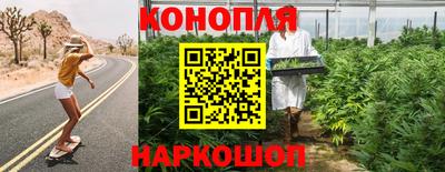 индика Ярославль