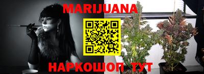 индика Ярославль